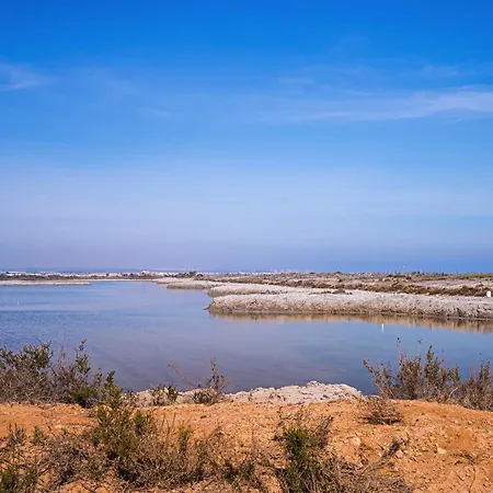 Anna Dehesa de Campoamor (Orihuela Costa)